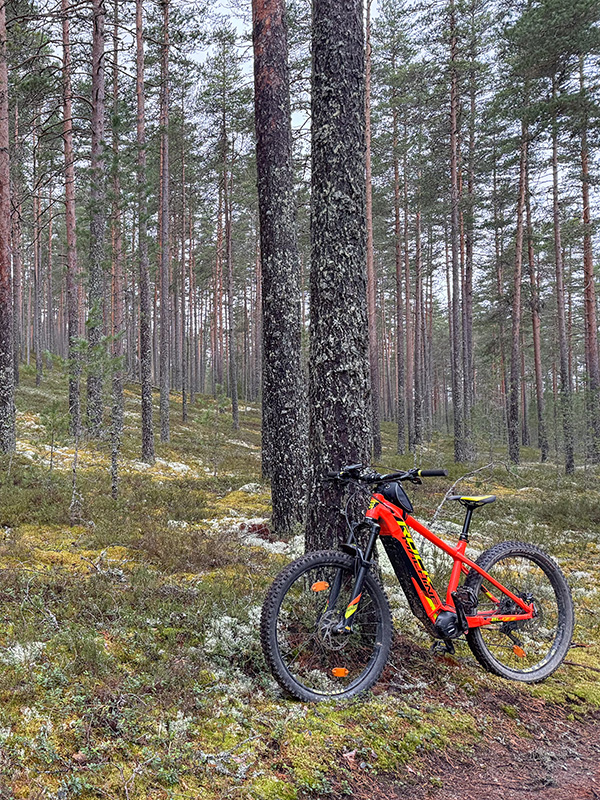 Geobike_reitti